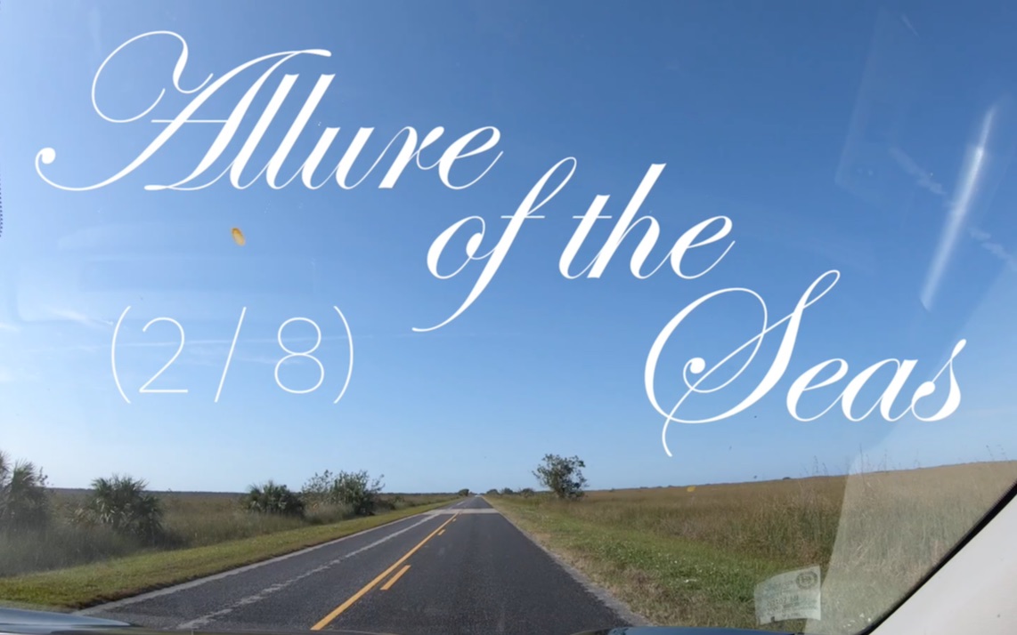 vlog03allureoftheseas第二站大沼泽地国家公园