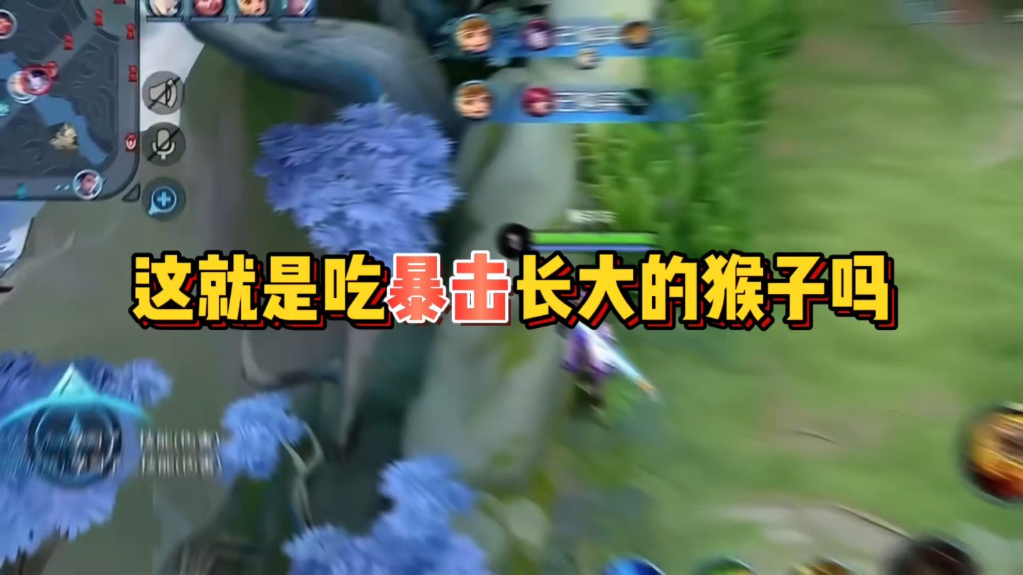 【暴击猴 vs 非洲猴】