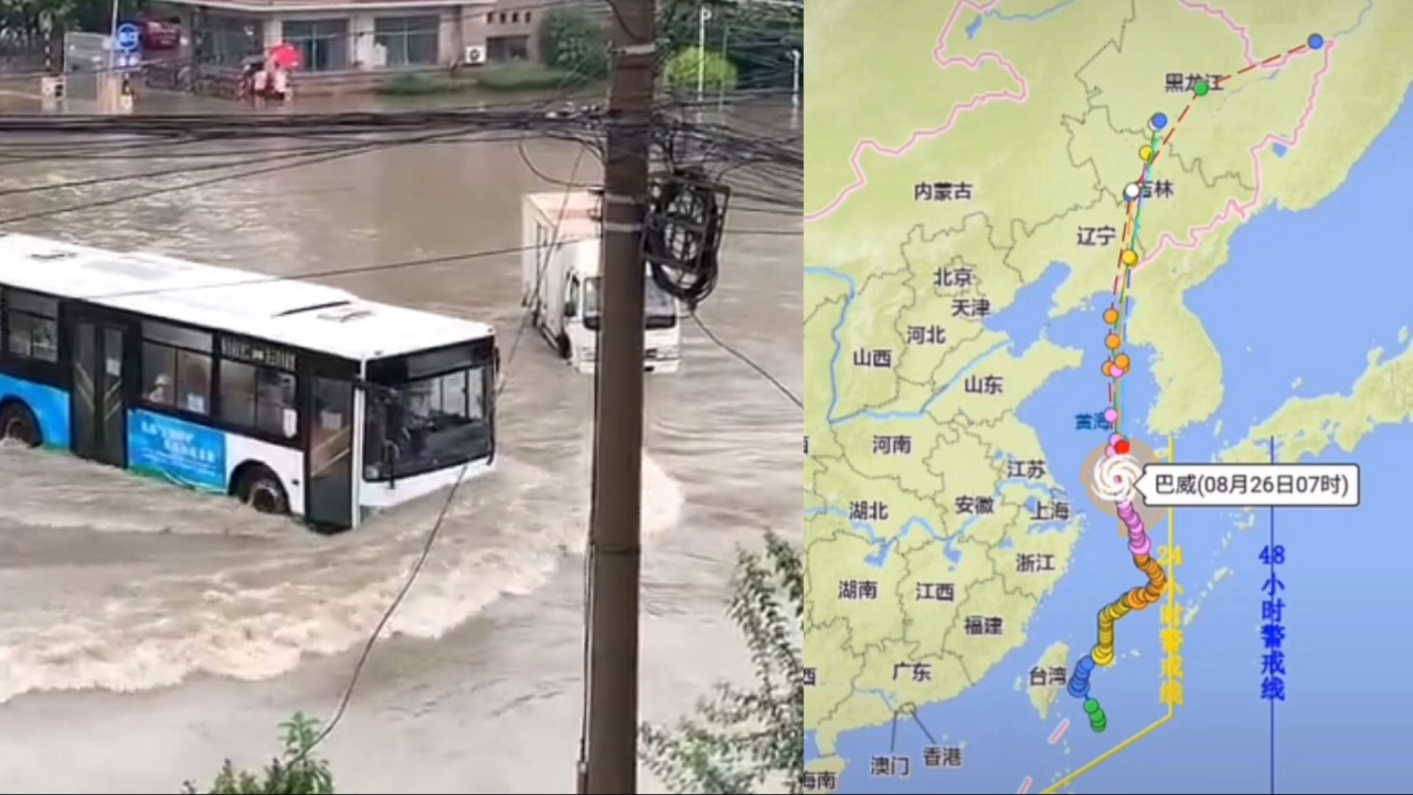 青岛暴雨致路面积水成河,台风“巴威”正直奔我国东北!哔哩哔哩bilibili