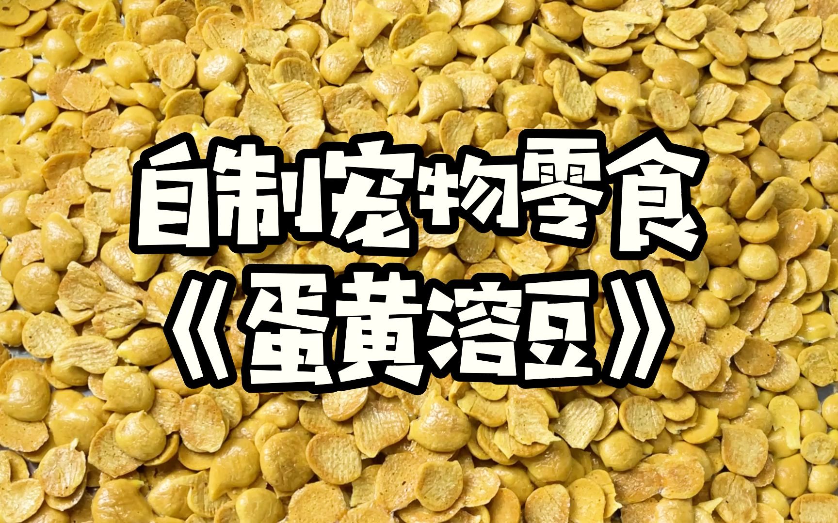 奶香味十足的宠物零食,爱了爱了哔哩哔哩bilibili