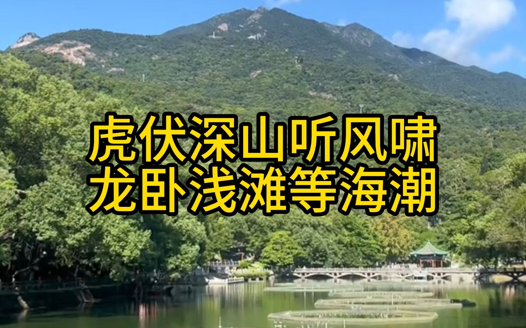 虎伏深山听风啸龙卧浅滩等海潮