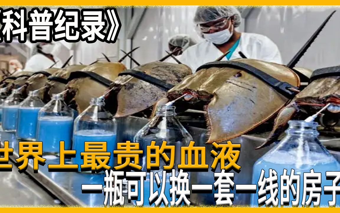 世界上最贵的动物血液一小瓶都可以换一套房子有价无市的存在