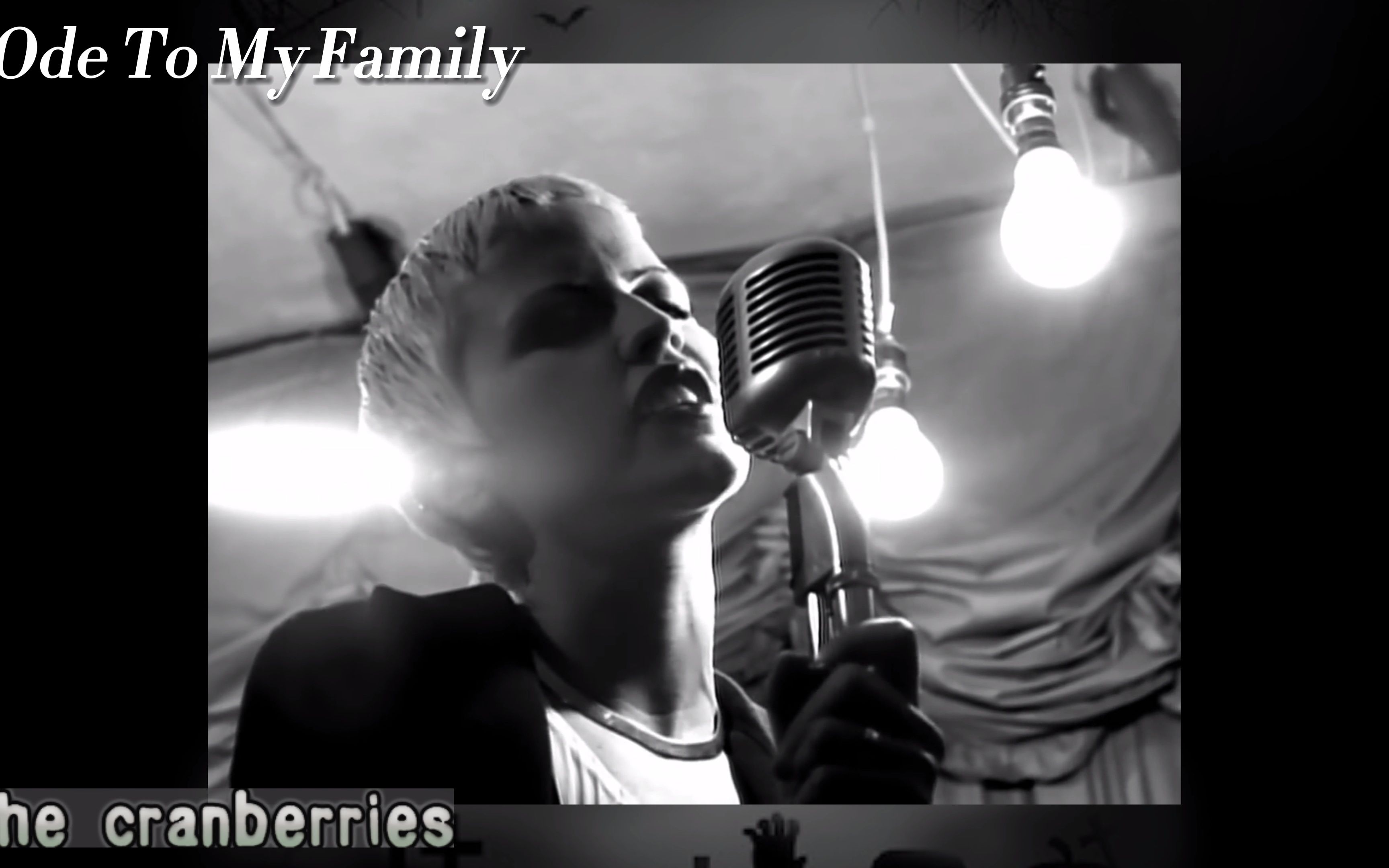 [图]The Cranberries《Ode to my family》