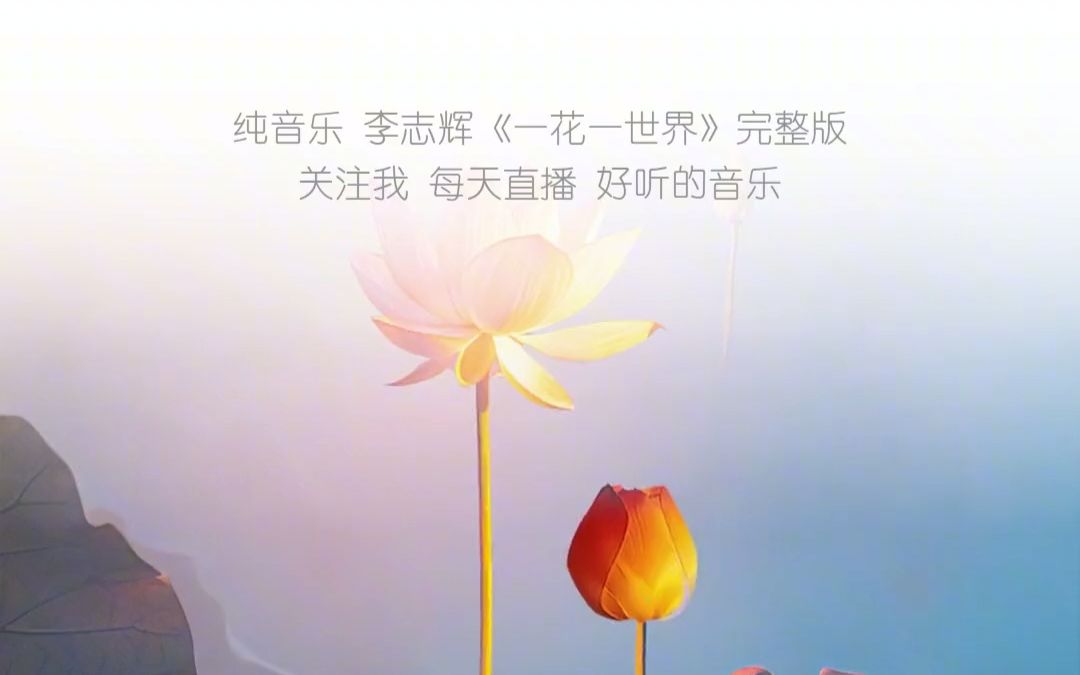 [图]一曲禅音《一花一世界》完整版#纯音乐欣赏#禅音妙语#天籁之音#静心#古乐#古琴#禅乐#修心#轻音乐分享#禅意纯音乐