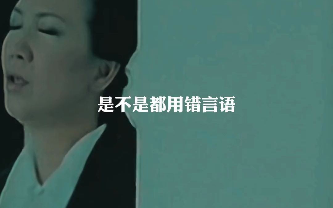 [图]苏芮和潘玮柏演唱的一首经典歌曲《我想更懂你》4分钟完整版，初听以为是爱情故事，再听是母子间的隔阂，为人父母后才明白母亲的苦