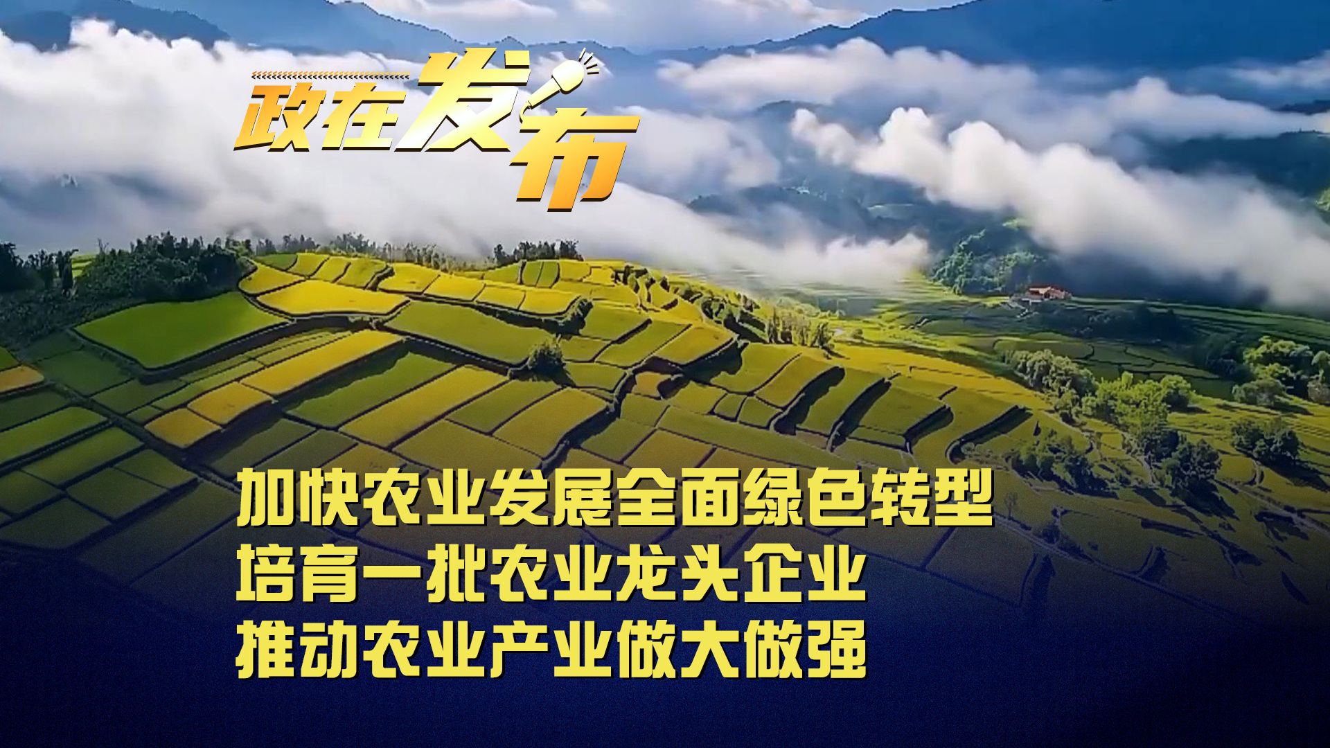 政在发布丨加快农业发展全面绿色转型,培育一批农业龙头企业,推动农业产业做大做强哔哩哔哩bilibili