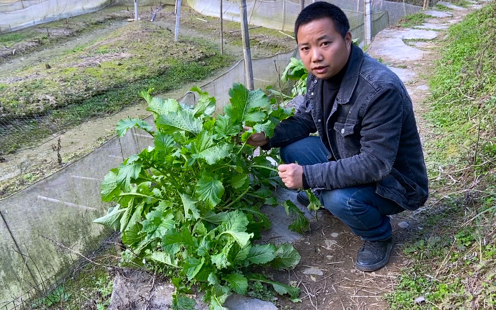 农村到处都是宝,路边野菜这样炒,加上野葱一起炒,开胃还下饭哔哩哔哩bilibili