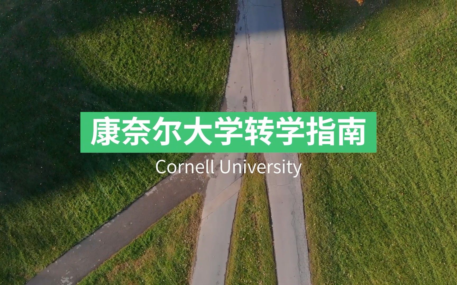 康奈尔大学 Cornell University 转学申请攻略!哔哩哔哩bilibili