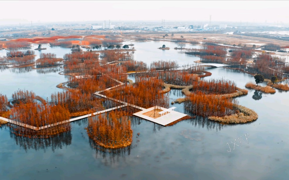 【网红打卡点】南昌鱼尾洲湿地公园