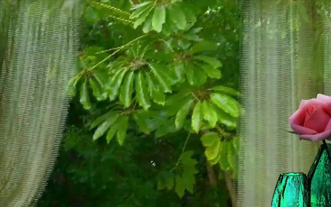 [图]【助眠雨声·极度舒适】清风细雨最抚人心