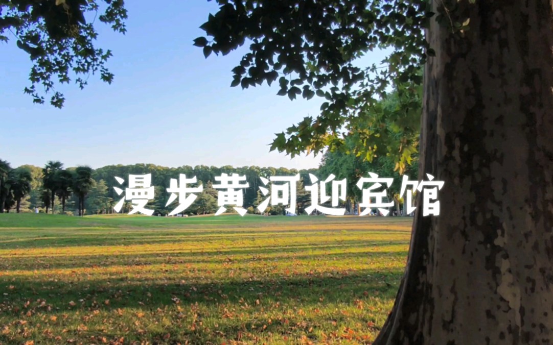 身临其境漫步郑州黄河迎宾馆,感受金色阳光