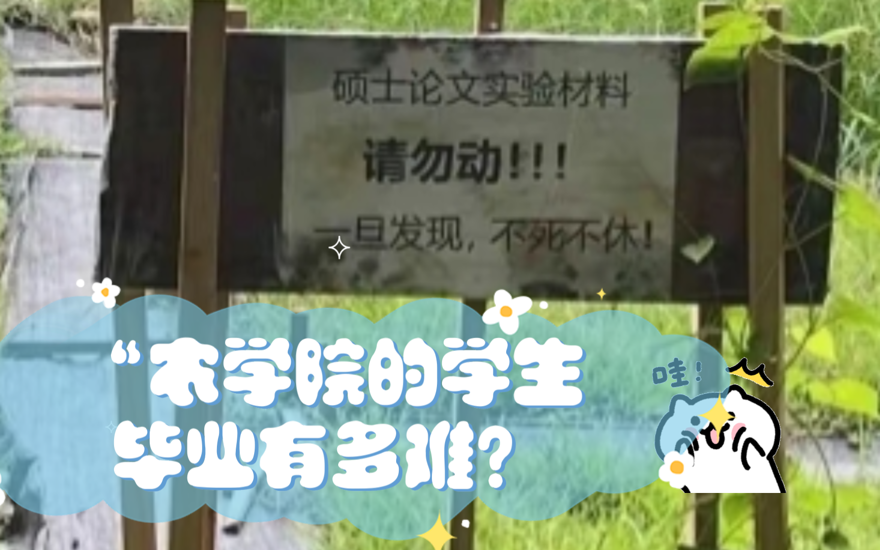 “农学院的学生毕业有多难?”哈哈哈笑得我功德尽失!哔哩哔哩bilibili