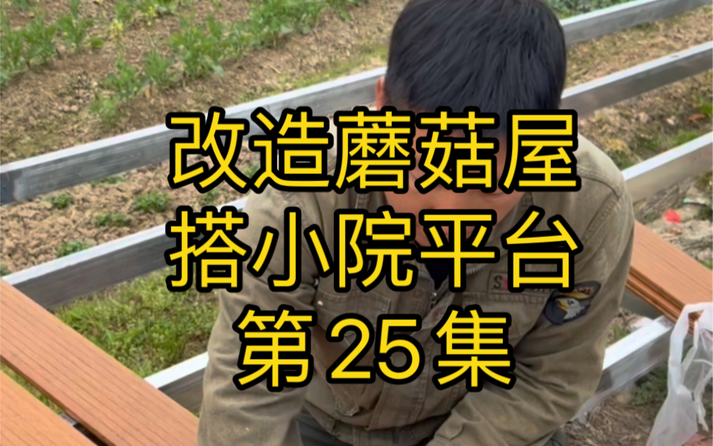 今天改造小院平台,和老公决定回农村改造老房子,是因为我们一直都向往田园生活,这几年也提倡返乡创业,发展三农乡村振兴,打造美丽乡村,所以才决...