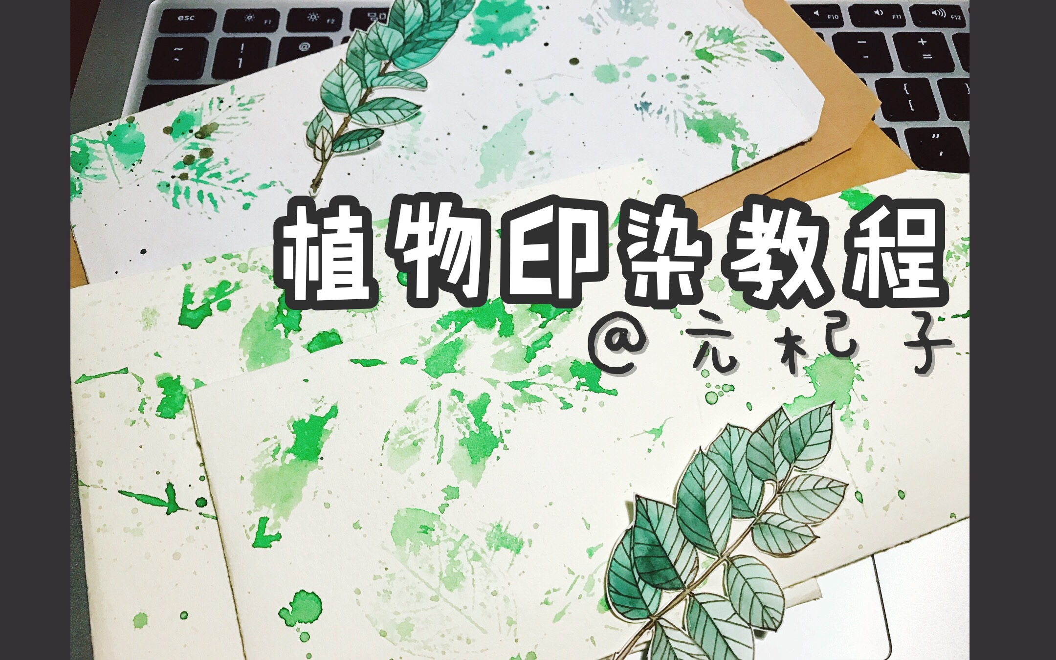 [元杞子]植物印染教程哔哩哔哩bilibili