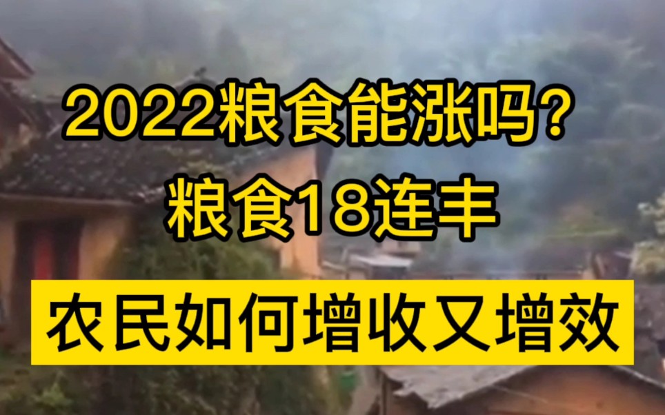 2022年粮食能涨价吗?农民粮食十八连丰,怎样做到增收又增效哔哩哔哩bilibili