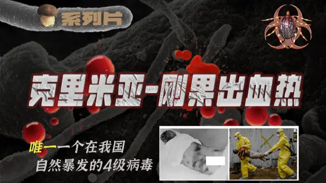 【传染病系列24】血疫：病死率可达40%！又称新疆出血热，唯一 在我国自然流行的4级病毒