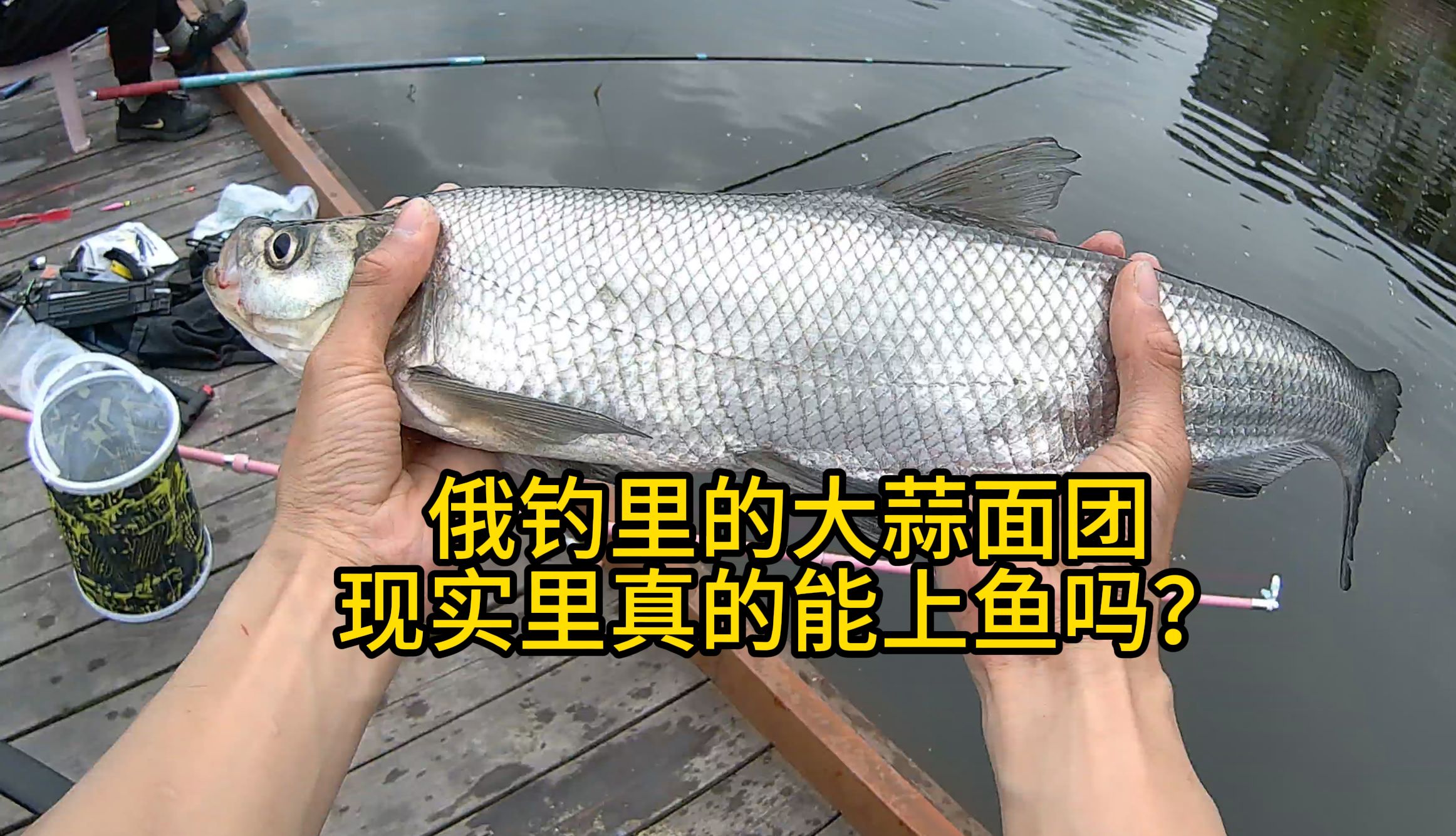 实测大蒜面团钓鱼