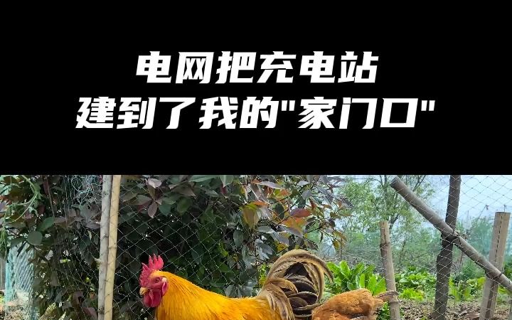 乡镇充电站,带领新能源下乡!申请流程超简单!哔哩哔哩bilibili