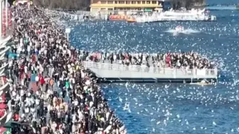 Descargar video: 大年初六云南昆明海埂大坝人山人海，网友：平均50人喂一只海鸥，人比海鸥多，很多朋友从外省几千公里自驾昆明就为了看一眼从西伯利亚到昆明越冬的海鸥