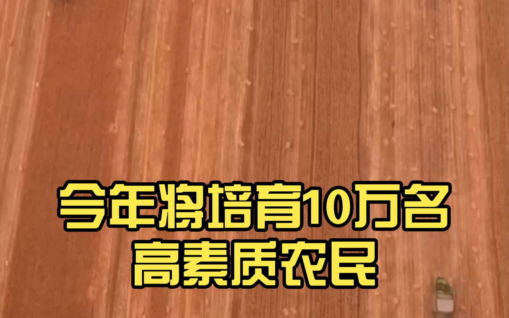 河南省农业农村厅:今年将培育10万名高素质农民哔哩哔哩bilibili