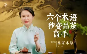 下载视频: 6个品茶术语，让你秒变品茶高手，喝茶别只会夸好喝