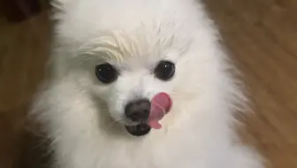 发型都变了…