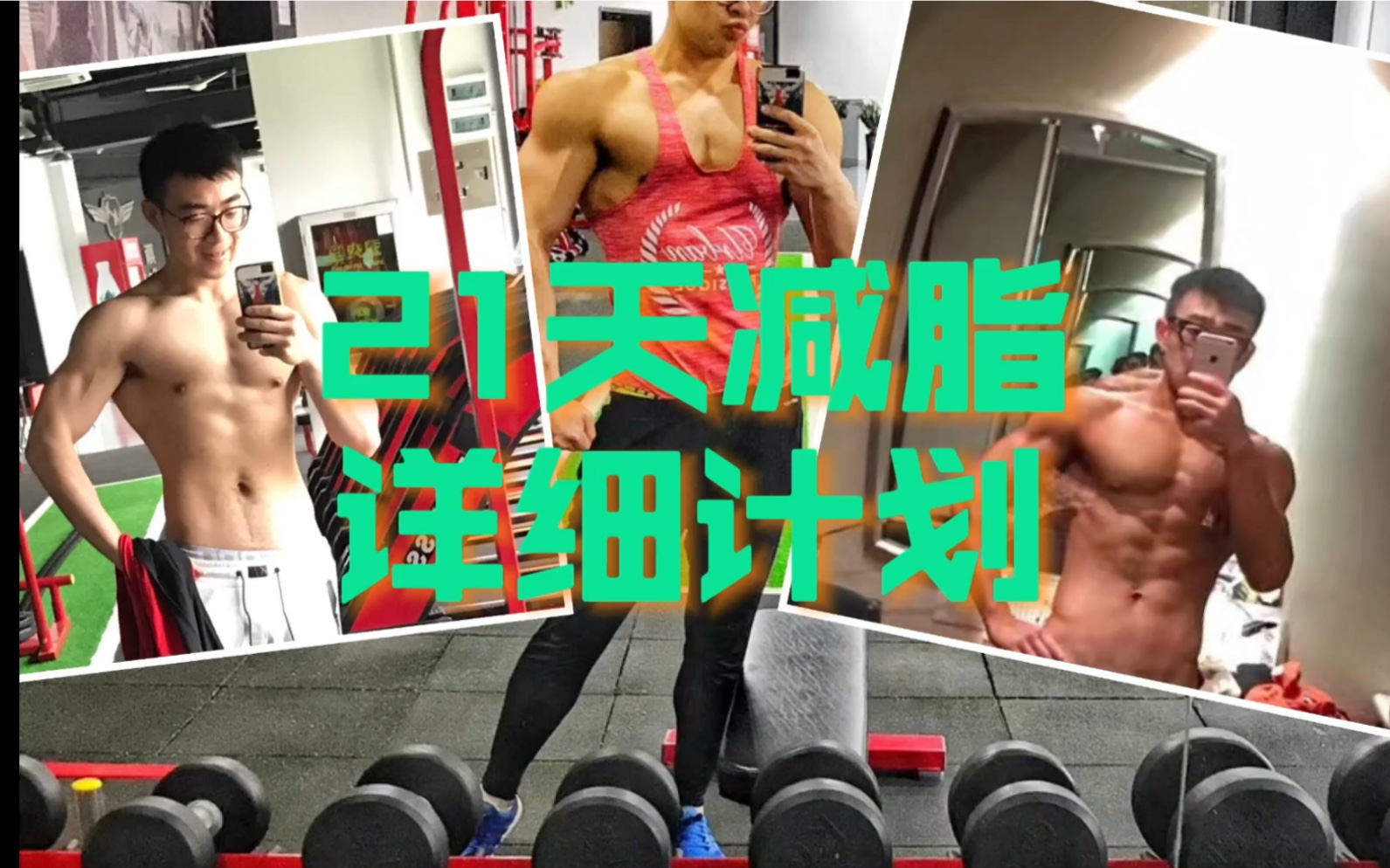 如何真正有效减脂?21天短期减脂|生蚝减脂系列Vlog哔哩哔哩bilibili