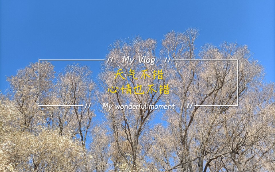 心情不错的一天