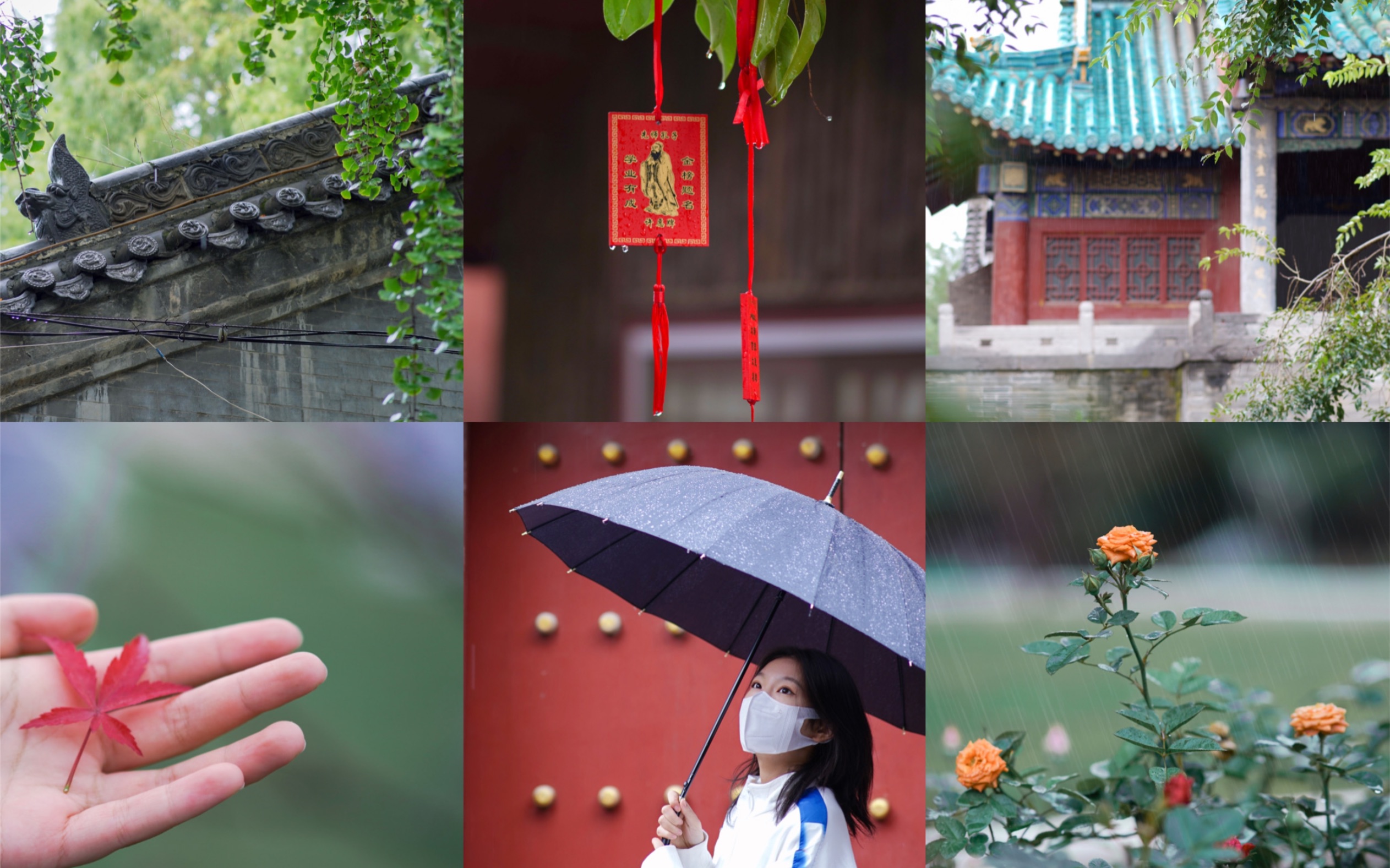 沉浸式扫街|雨后的秋天让人瑟瑟发抖但也足够美丽哔哩哔哩bilibili