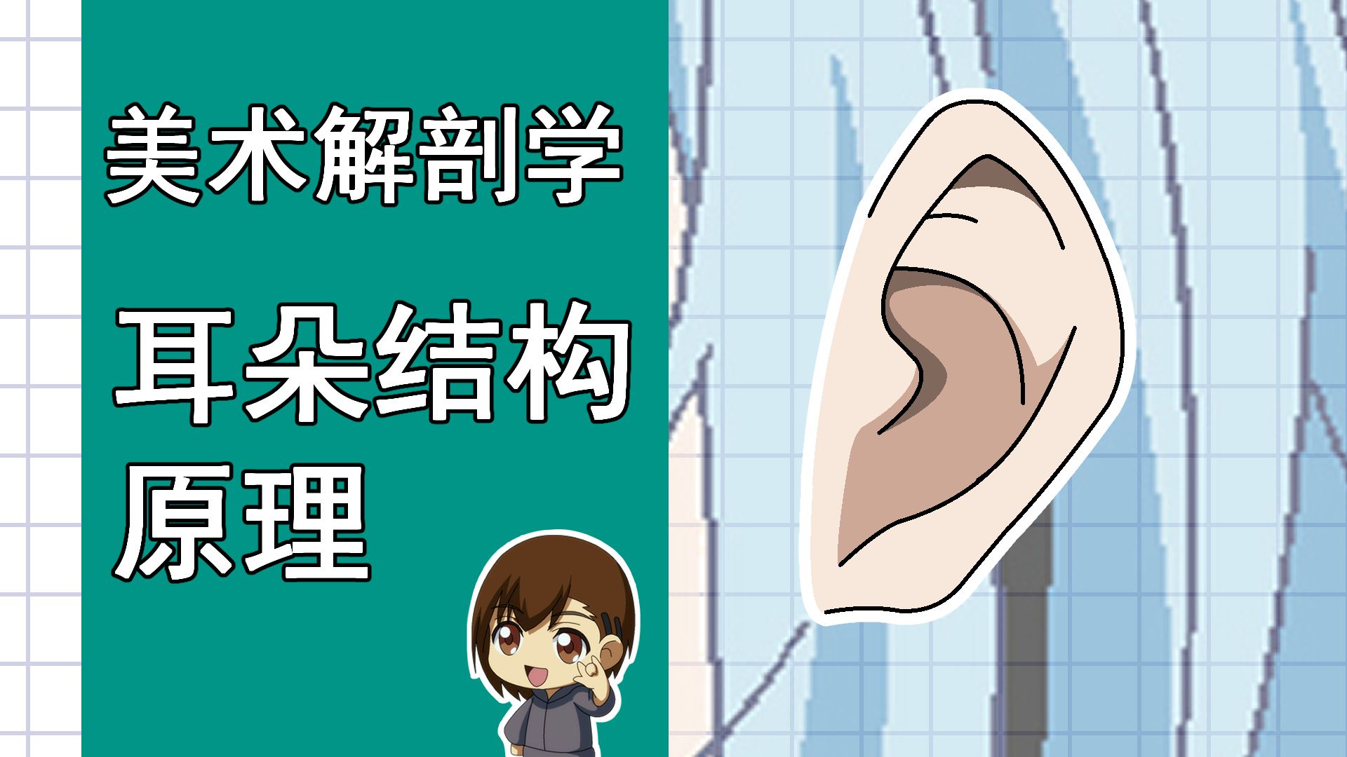美术解剖学-30-耳朵结构绘制原理