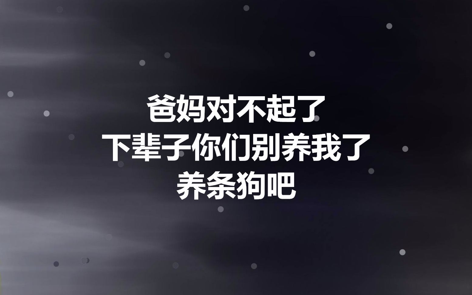 爸妈对不起了下辈子你们别养我了养条狗吧