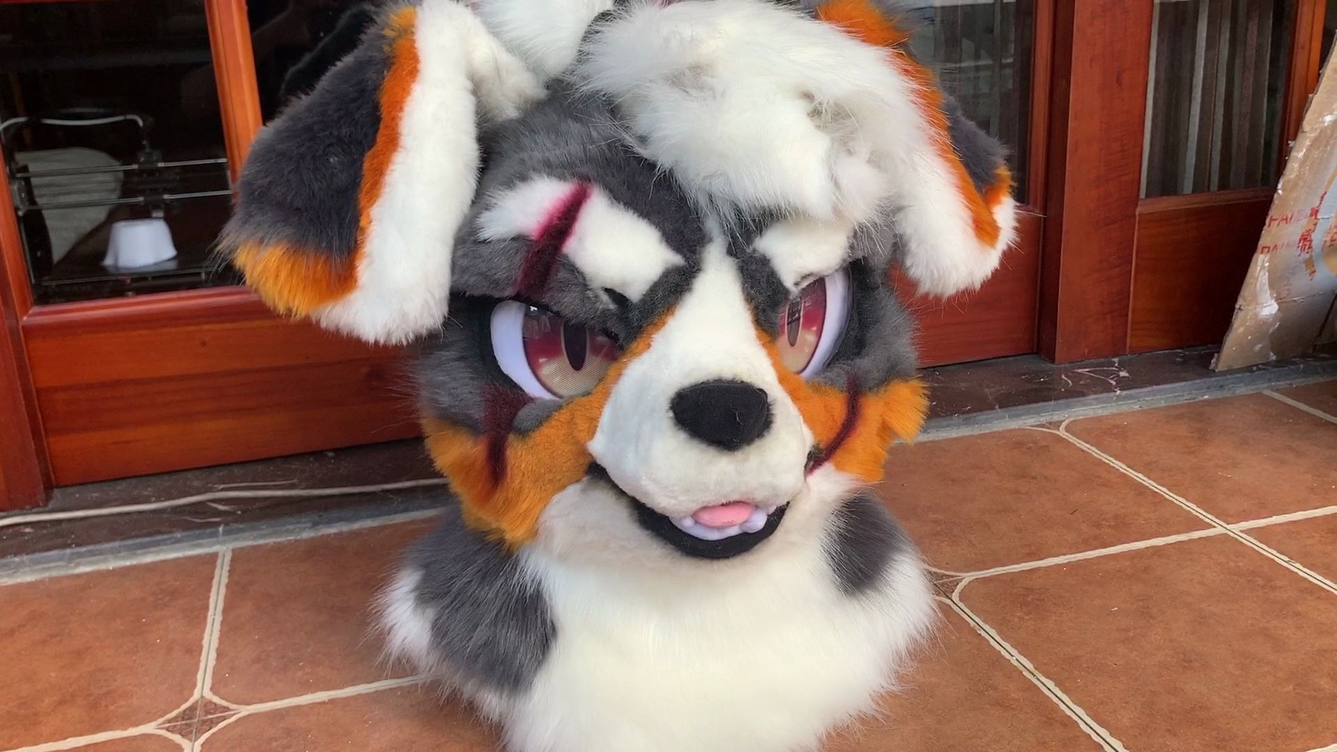 兽装fursuit刀疤小狗巴格兽装展示