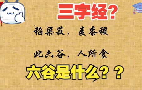 视频讲解国学经典《三字经》之“稻粱菽,麦黍稷,此六谷,人所食”哔哩哔哩bilibili