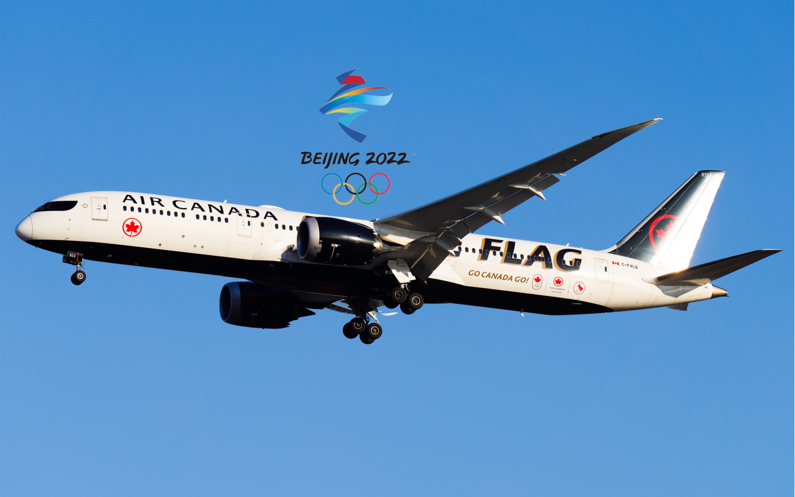 加拿大航空 旗帜飘扬彩绘 波音787-9 c-fvlq 落地pek跑道01_哔哩哔哩