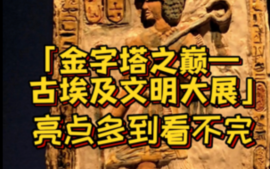 「金字塔之巅——古埃及文明大展」亮点多到看不完哔哩哔哩bilibili