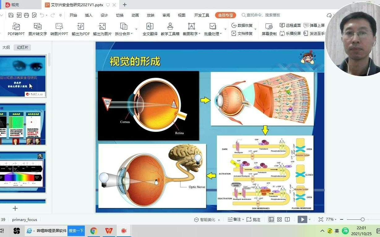 低能量红色激光安全性研究李光宇哔哩哔哩bilibili