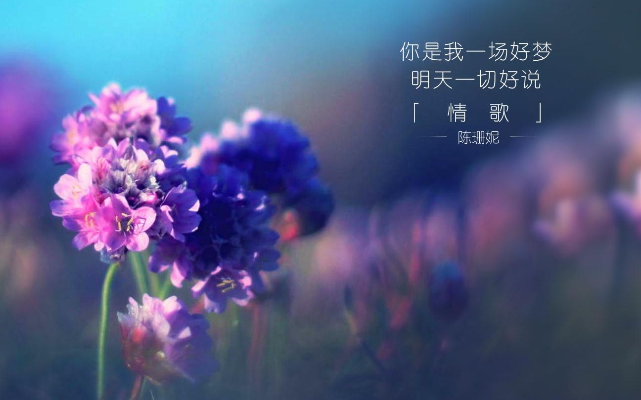 顺其自然,老天自有安排._哔哩哔哩 (゜-゜)つロ 干杯~-bilibili