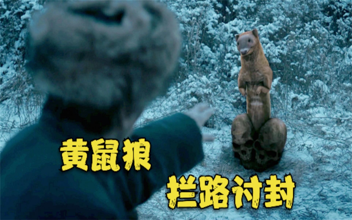 黄鼠狼拦路讨封,富少被邪物缠身,东北马家以善妖除恶妖!奇幻片