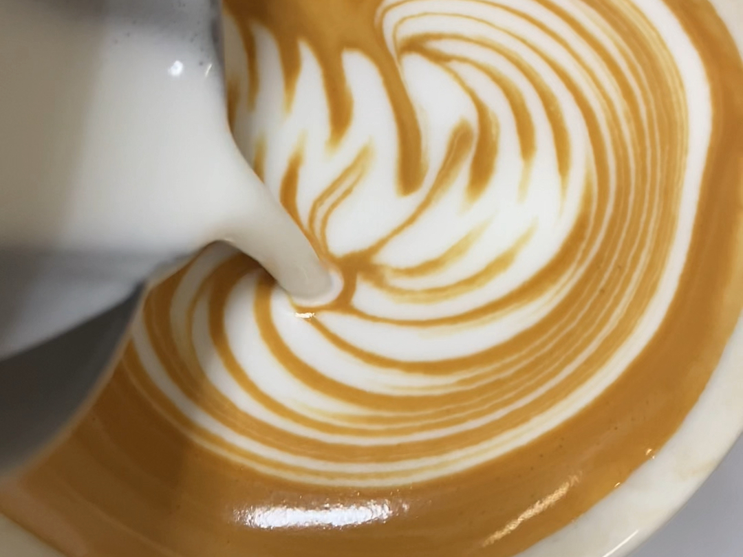 咖啡拉花练习 天鹅60