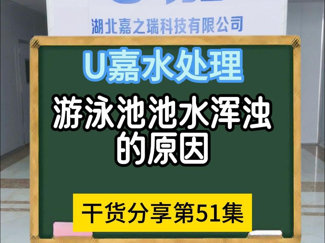 游泳池池水浑浊的原因哔哩哔哩bilibili