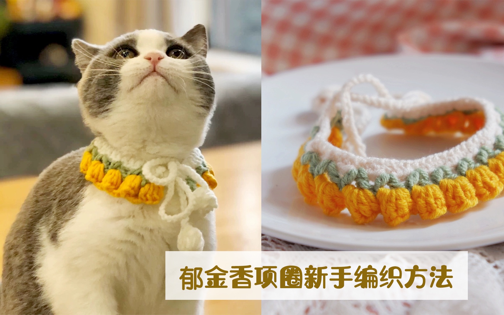031郁金香项圈编织方法钩针猫咪狗狗项圈新手钩针教程