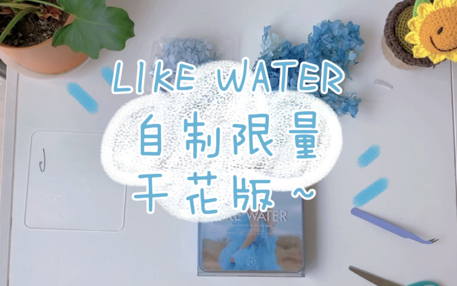 Wendy Like water自制限量干花版哔哩哔哩bilibili