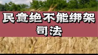 民意绝不能绑架司法