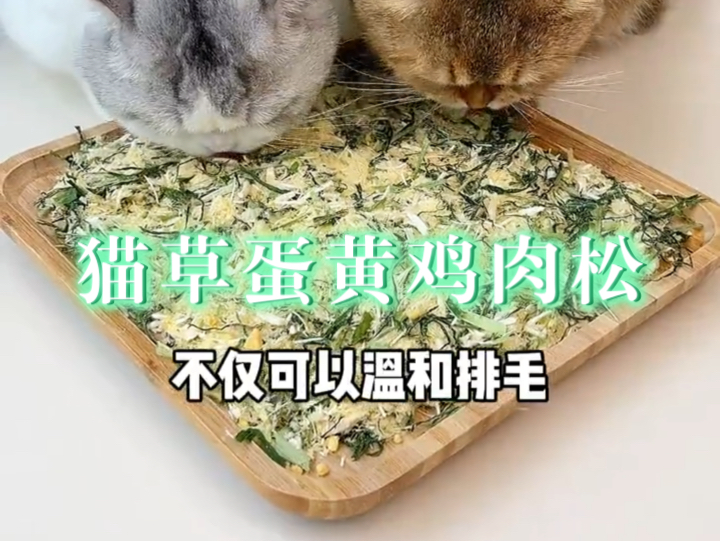 有了这个猫草蛋黄鸡肉松,不仅猫草不用种了,就连鱼油也不用单独喂了,排毛又营养#猫草 #萌宠好物 #猫零食 #新手养猫哔哩哔哩bilibili