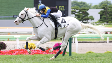 ブランド通販サイト 228156fcba403ad333f764becf78a0 競馬