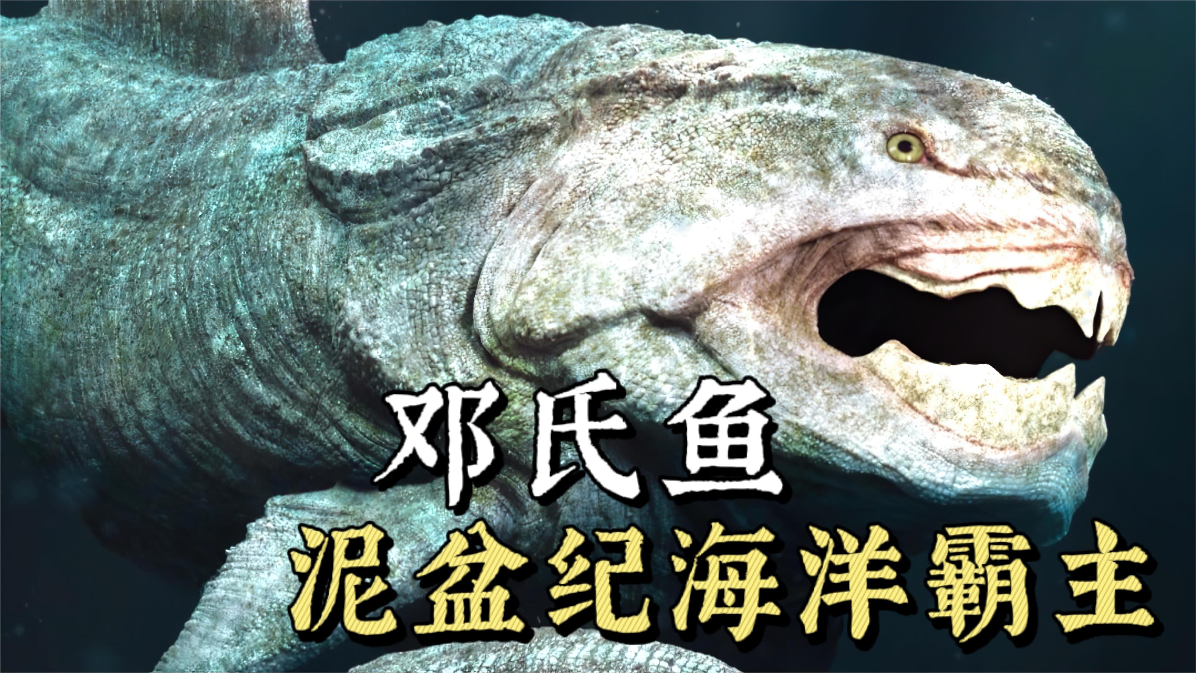 泥盆纪霸主邓氏鱼,体长接近6米,一口一个小鲨鱼