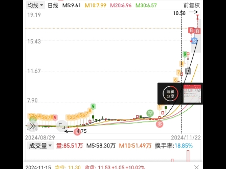 粤桂股份哔哩哔哩bilibili