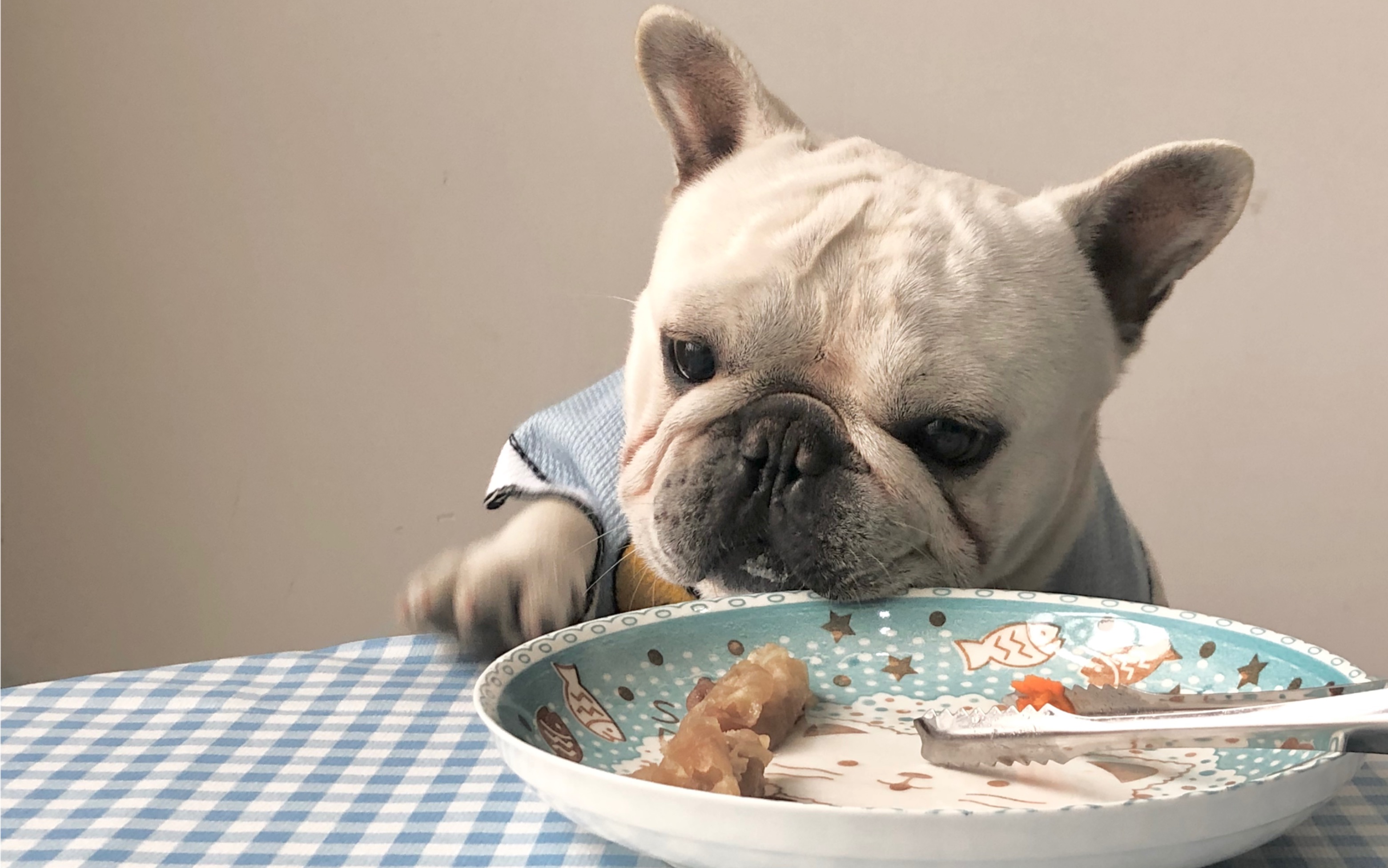 法斗尼总-大哥都是直接上桌干饭的!