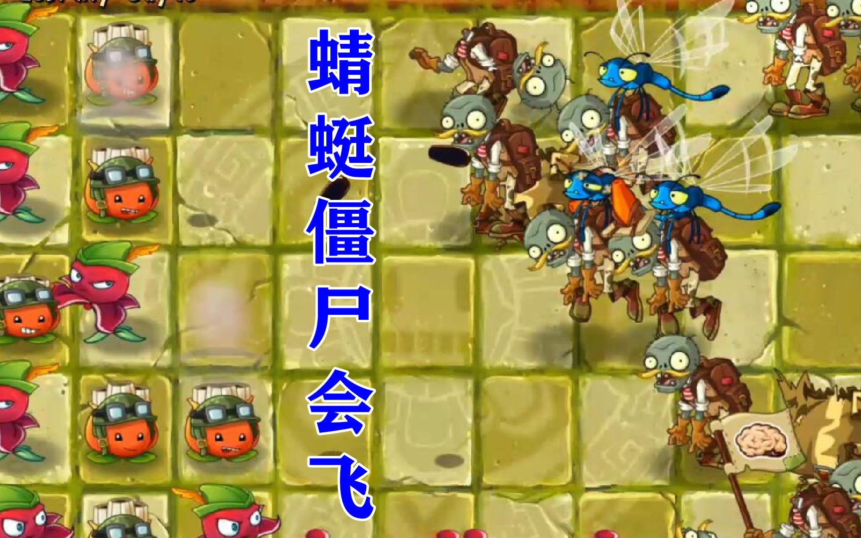 植物大战僵尸2国际版:一阶闯失落18-20天,蜻蜓僵尸会飞!