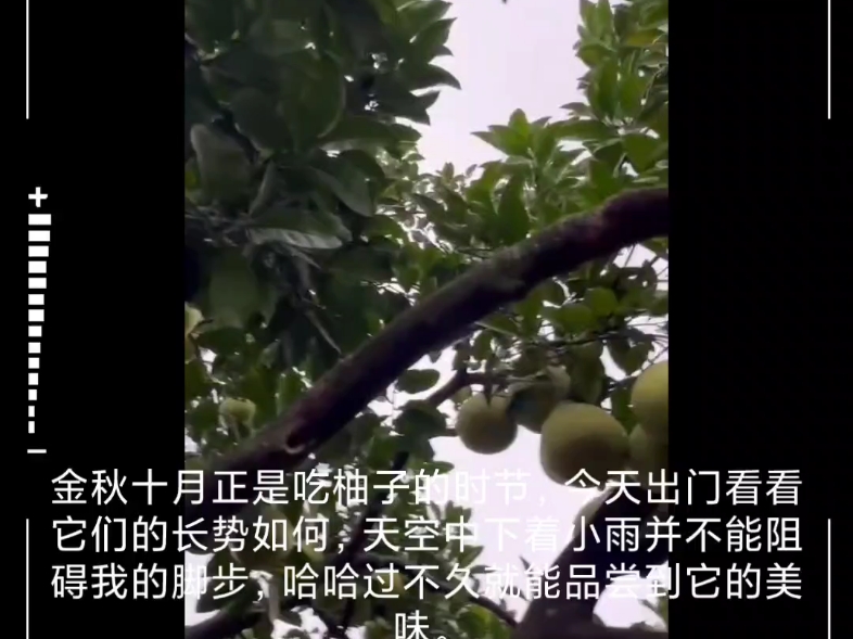 【阿俊家的小柚子】最新视频已上线,快来围观!